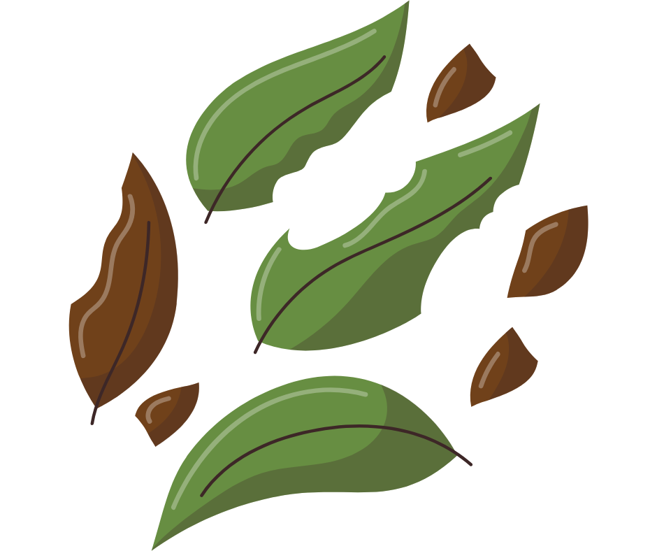 image-gif